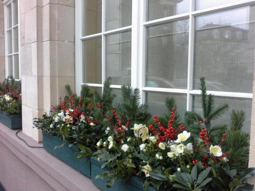 20141209_150802.jpg