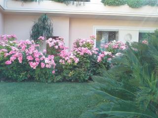 20140609_201310.jpg