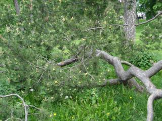 DSC05021.JPG