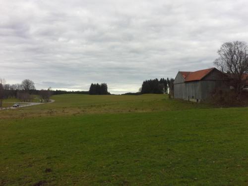 20141214_134954.jpg