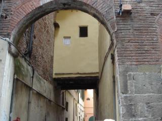 DSC04700.JPG