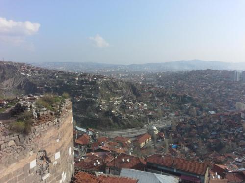20150324_082229.jpg