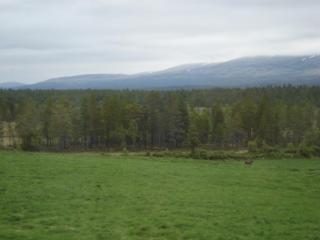 DSC05688.JPG