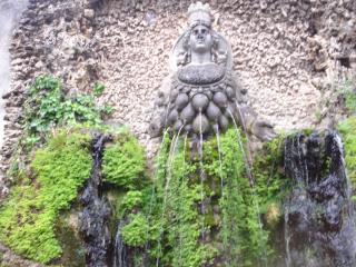 DSC04499.JPG