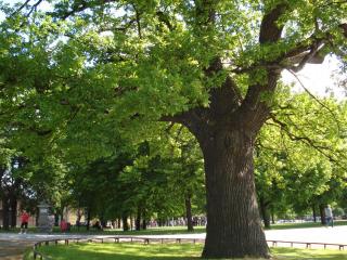 DSC05307.JPG