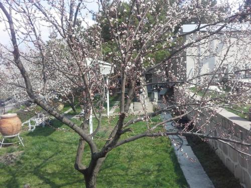 20150324_094318.jpg