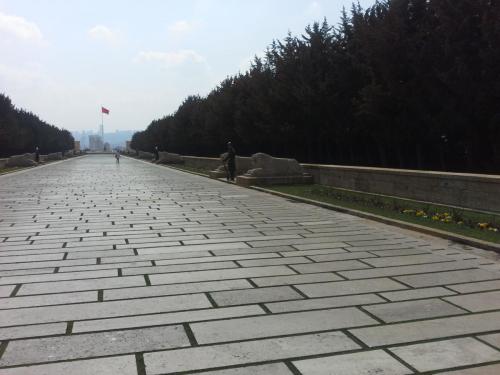 20150324_101752.jpg