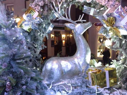 20141209_171715.jpg