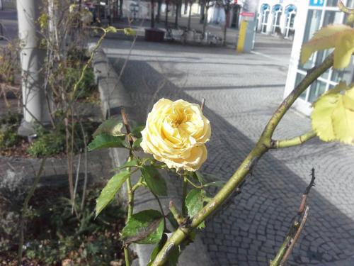 20141214_123256.jpg