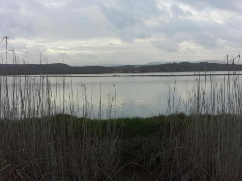 20150328_173437.jpg