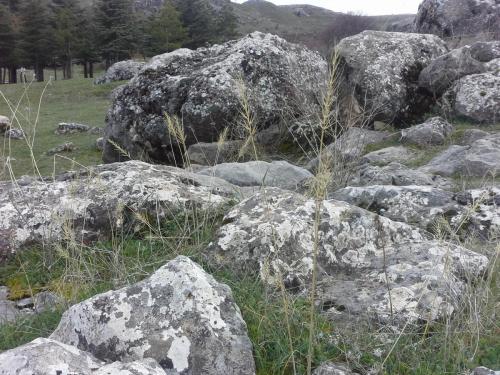 20150324_151651.jpg