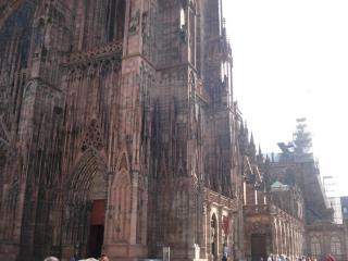 DSC00137.JPG
