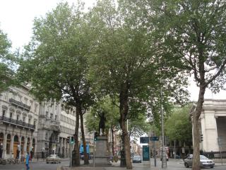 DSC08164.JPG