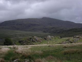 DSC07995.JPG