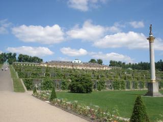 DSC07389.JPG