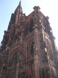 DSC00136.JPG