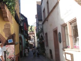 DSC00108.JPG