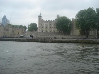 DSC07478.JPG