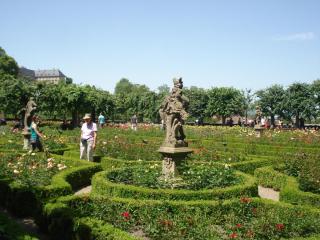 DSC09212.JPG