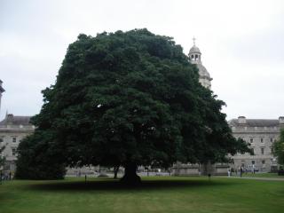 DSC08168.JPG