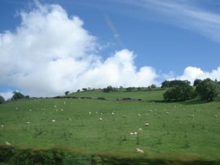 DSC07871.JPG