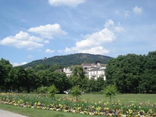 DSC00204.JPG