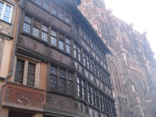 DSC00147.JPG