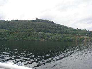 DSC08470.JPG