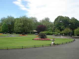 DSC08313.JPG