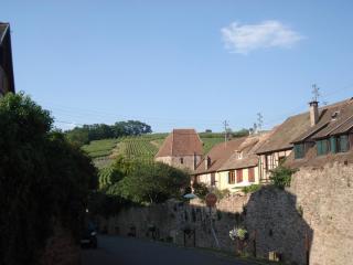 DSC00120.JPG