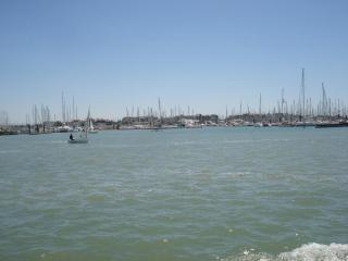 DSC09657.JPG