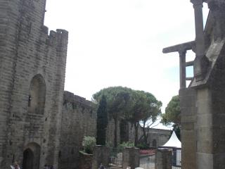 DSC09821.JPG