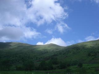 DSC08009.JPG