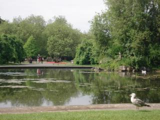 DSC08316.JPG