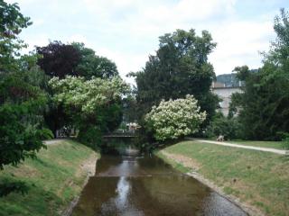 DSC00196.JPG