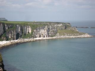 DSC08412.JPG