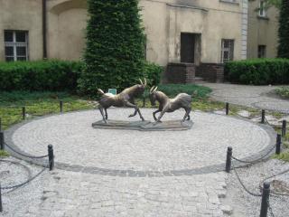 DSC07359.JPG