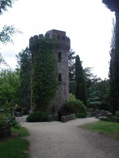 DSC08188.JPG