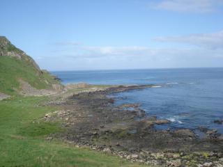 DSC08372.JPG