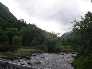 DSC08307.JPG