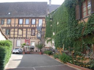 DSC00102.JPG