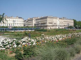 DSC09740.JPG