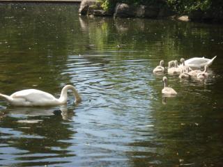 DSC08311.JPG