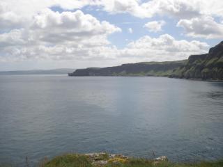 DSC08425.JPG