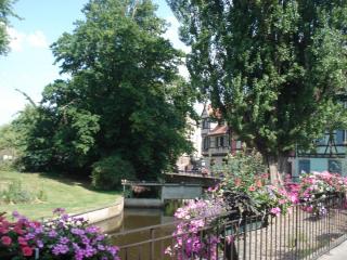 DSC00099.JPG