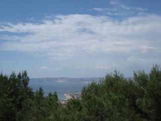 DSC09937.JPG