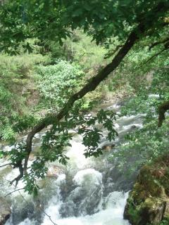 DSC07935.JPG