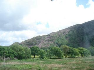 DSC07950.JPG