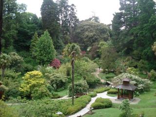 DSC08195.JPG