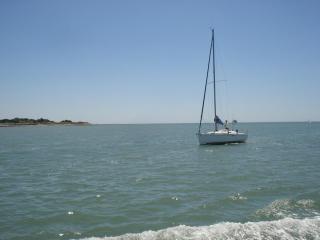 DSC09660.JPG